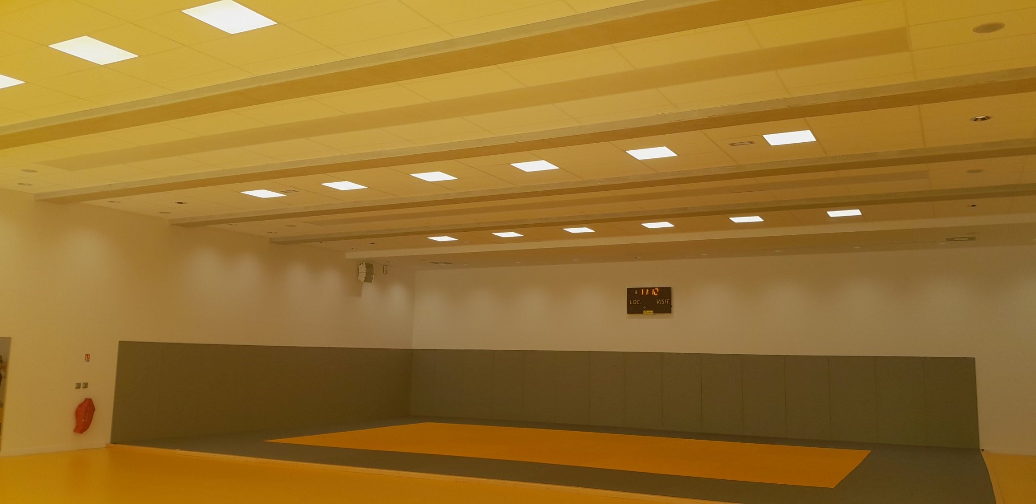 Gymnsa-de-nyons